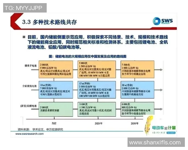 JDG快攻策略的成败分析与未来发展方向探讨